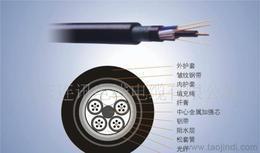 重庆单模光缆供应信息-重庆单模光缆批发、重庆单模光缆价格、找重庆单模光缆产品上